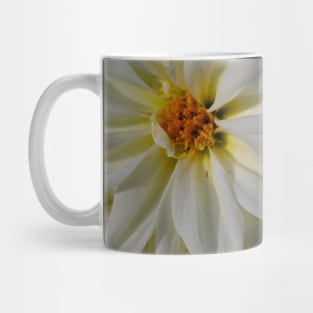 WHELLO FLOWERS PHOTOGRAPHY MY Mug